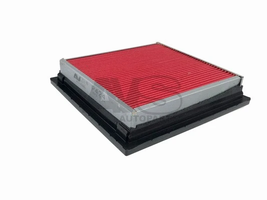 Air Filter (P424)