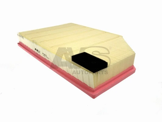 Air Filter (P341)