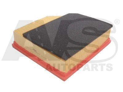Air Filter (P207)