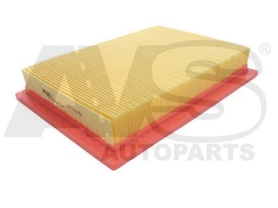 Air Filter (P999)