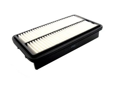 Air Filter (P239)