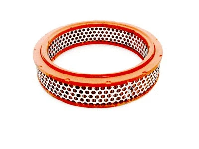 Air Filter (R728)
