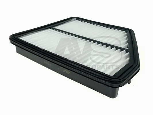Air Filter (P229)