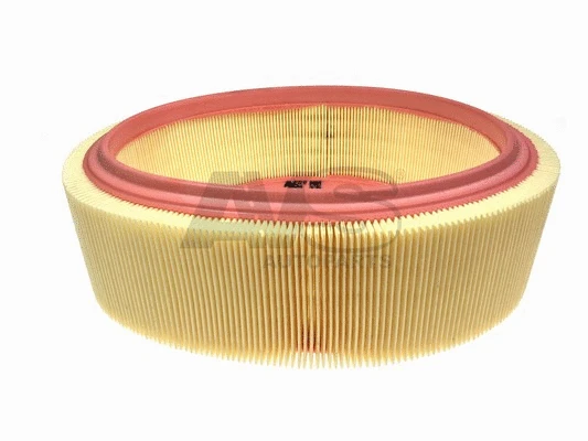 Air Filter (RA819)