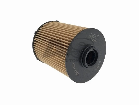 Fuel Filter (F103)