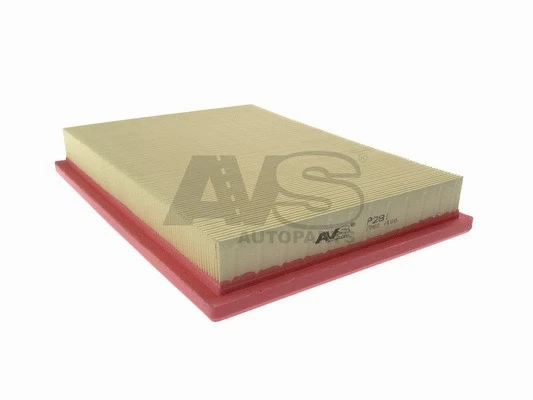 Air Filter (P281)