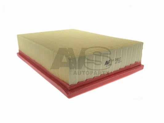 Air Filter (P803)