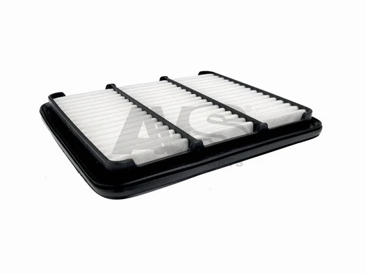 Air Filter (P278)