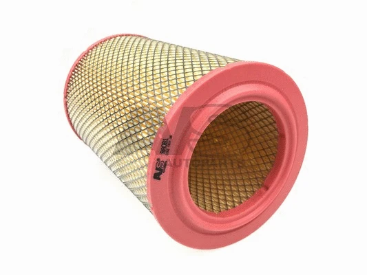 Air Filter (RA081)