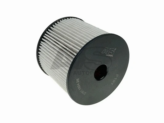 Fuel Filter (F101)