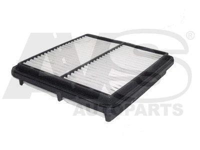 Air Filter (P102)