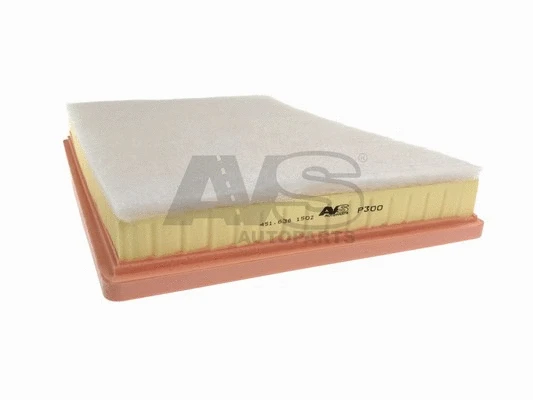 Air Filter (P300)