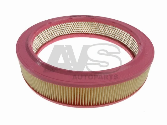 Air Filter (RA038)