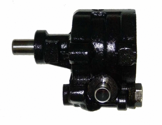 Hydraulic Pump, steering (BRN89S)