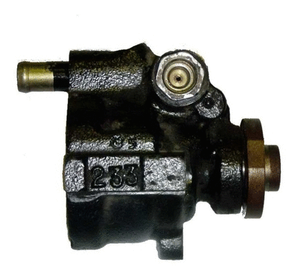 Hydraulic Pump, steering (BRN74S)