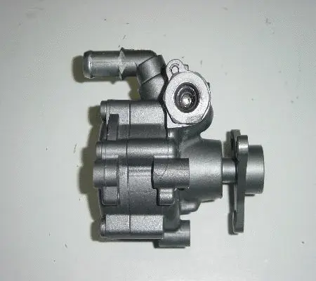 Hydraulic Pump, steering (BRN52Z)