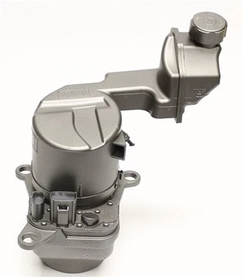 Hydraulic Pump, steering (BEFR94)