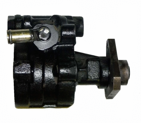 Hydraulic Pump, steering (BRN81S)