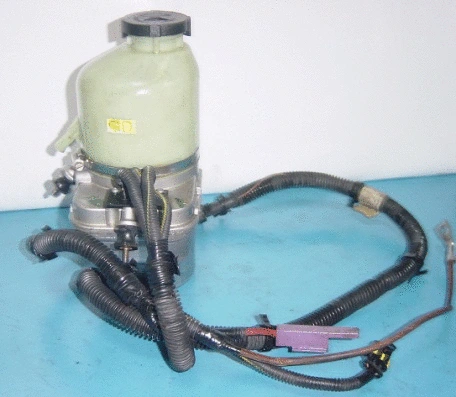 Hydraulic Pump, steering (BEGM91)
