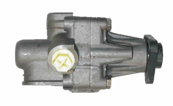 Hydraulic Pump, steering (BAD66Z)