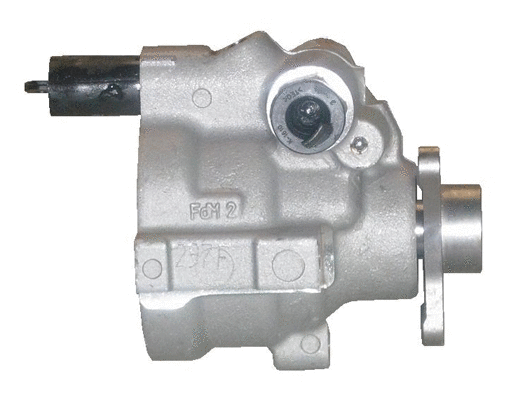 Hydraulic Pump, steering (BRN59S)