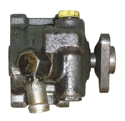 Hydraulic Pump, steering (BFR77D)