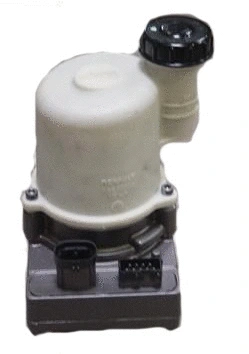 Hydraulic Pump, steering (BERN91)
