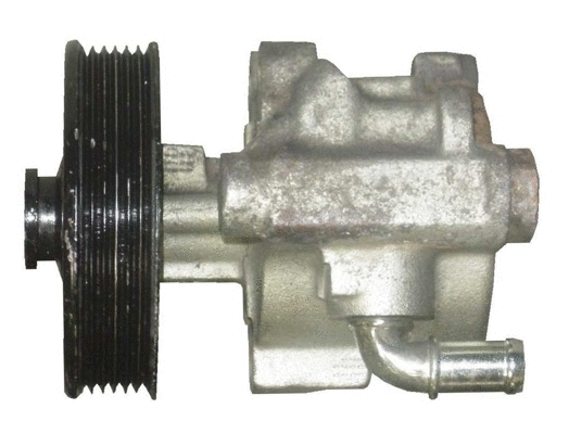 Hydraulic Pump, steering (BRN93S)