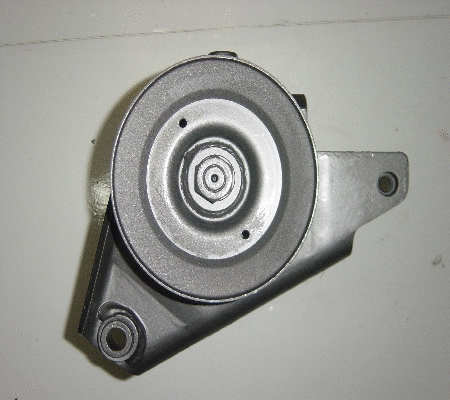 Hydraulic Pump, steering (BNS52A)