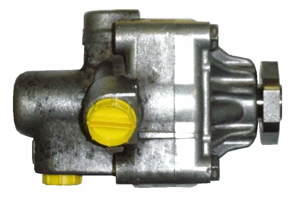 Hydraulic Pump, steering (BLF53Z)