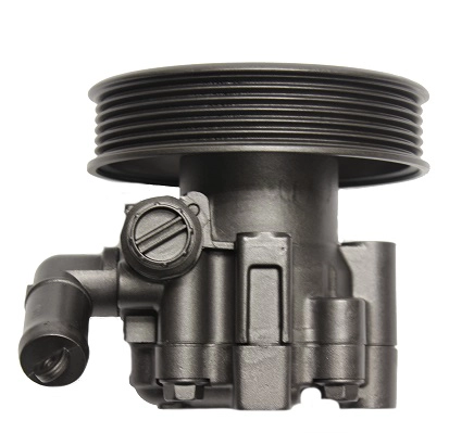 Hydraulic Pump, steering (BCV51Y)