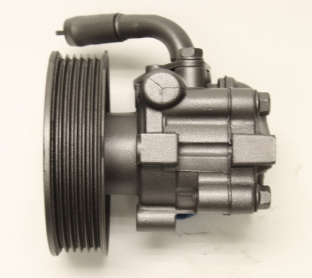 Hydraulic Pump, steering (BHU68Y)