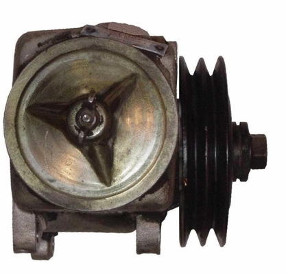 Hydraulic Pump, steering (BMR56Z)