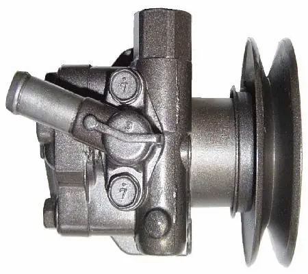 Hydraulic Pump, steering (BNS62U)