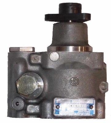 Hydraulic Pump, steering (BAD59Z)