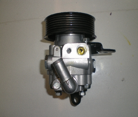 Hydraulic Pump, steering (BRV51W)
