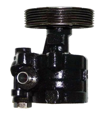 Hydraulic Pump, steering (BRN96S)