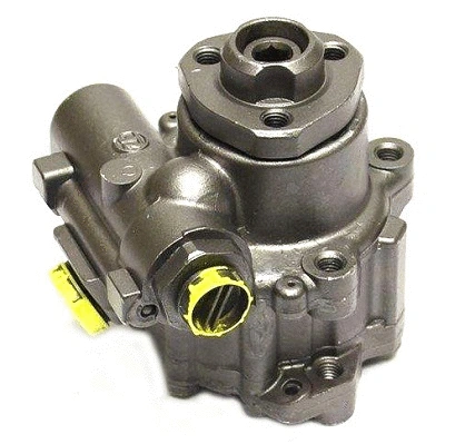 Hydraulic Pump, steering (BVW59Z)