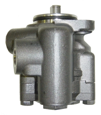 Hydraulic Pump, steering (BRN51Z)