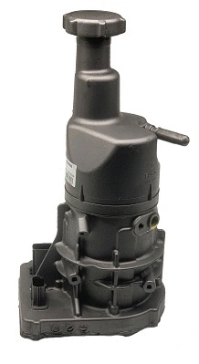 Hydraulic Pump, steering (BEFR96)