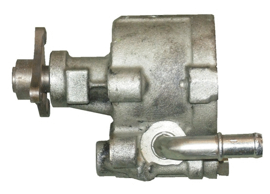 Hydraulic Pump, steering (BRN94S)