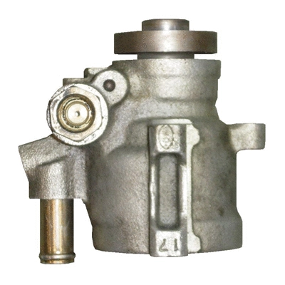 Hydraulic Pump, steering (BRN70S)