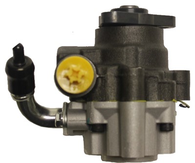 Hydraulic Pump, steering (BRV52H)