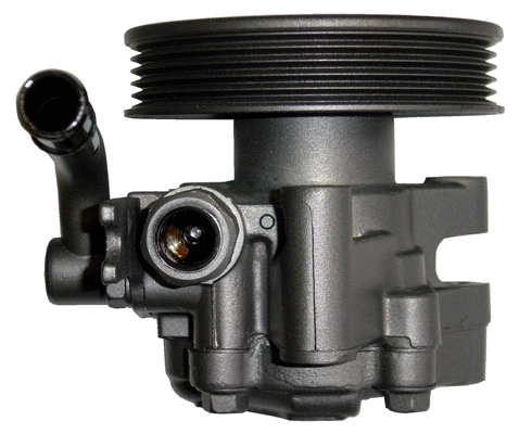 Hydraulic Pump, steering (BKI51Y)