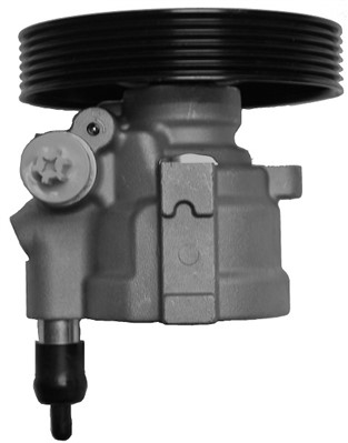 Hydraulic Pump, steering (BRN54S)