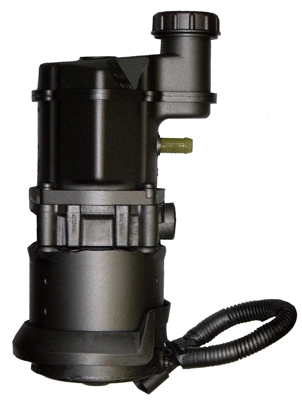 Hydraulic Pump, steering (BERN02P)
