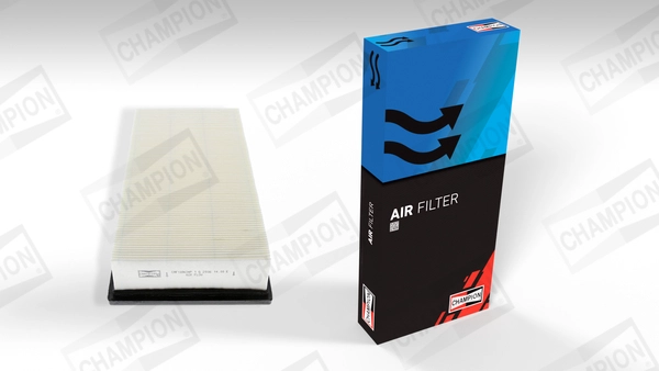 Air Filter (CAF100634P)
