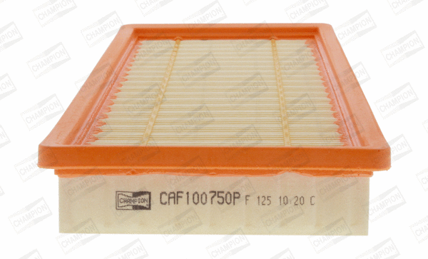 Air Filter (CAF100657P)