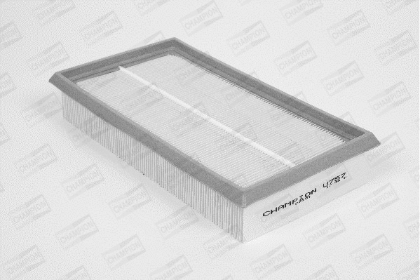 Air Filter (U757/606)
