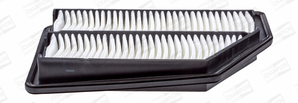 Air Filter (CAF100970P)